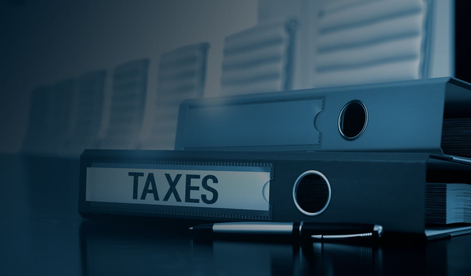 Personal Income Tax Return